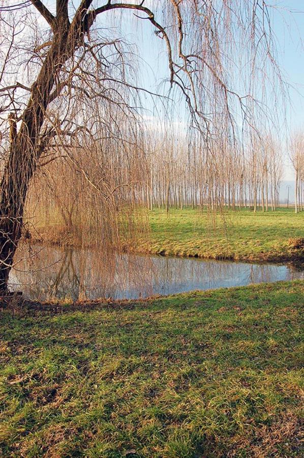 Il Broletto B&B Novara Buitenkant foto
